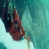 Bjørn_pa_Eiger-red.w