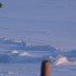 Bjørnen_016.w