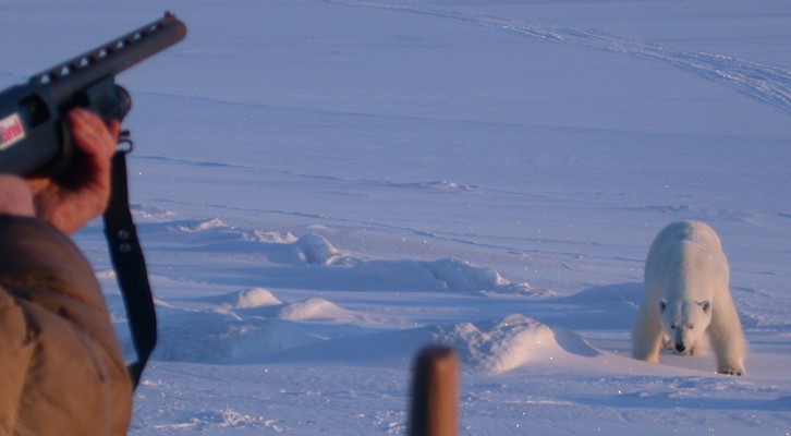 Bjørnen_016.w